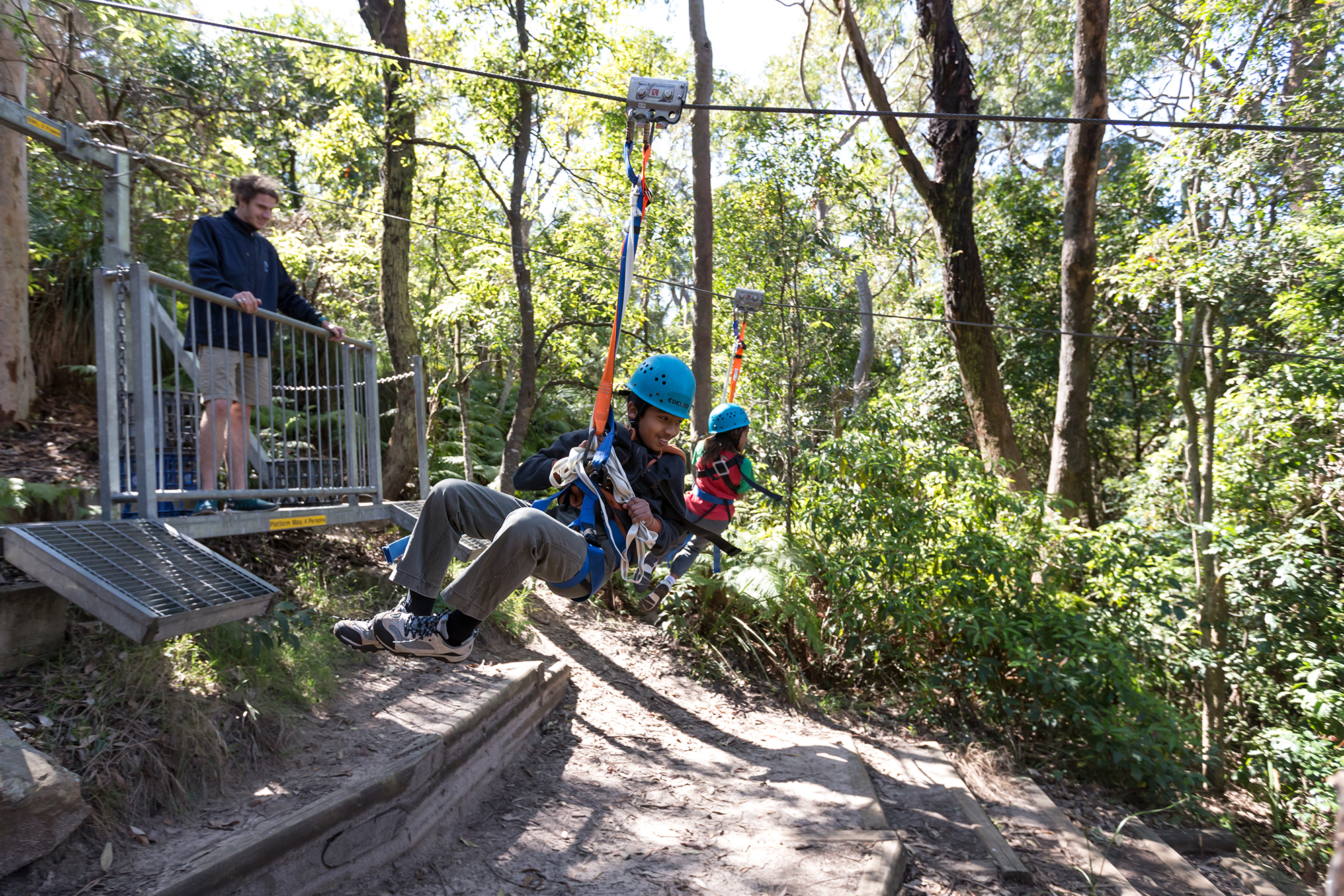 flying fox swing