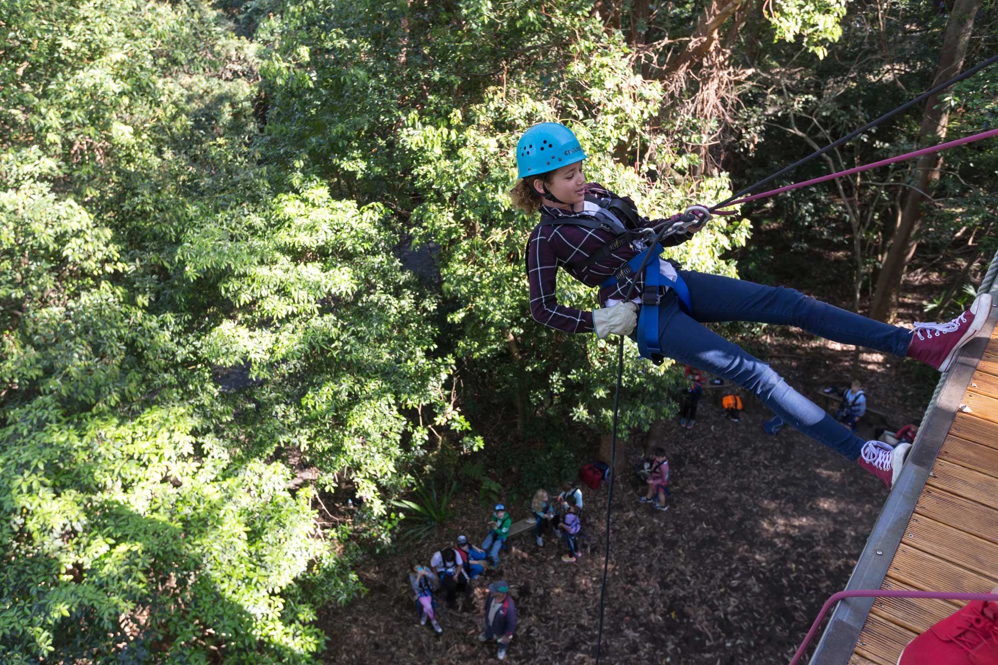 abseiling sydney