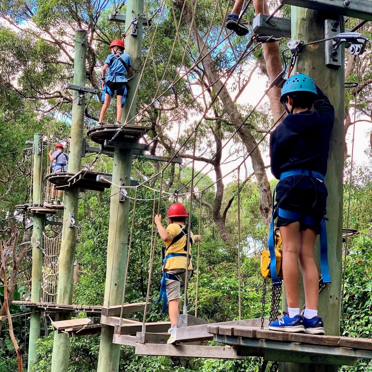 Activities page - replacement high ropes photo 1